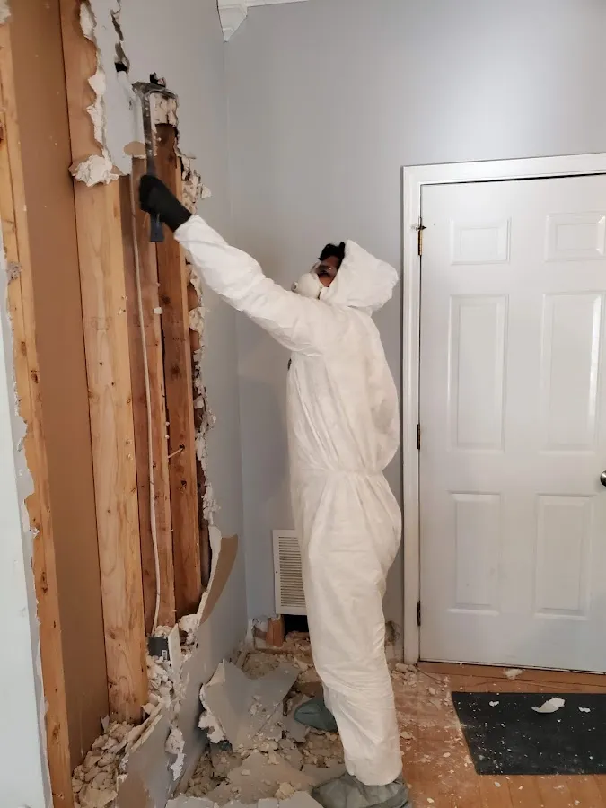Mold Remediation & Removal in Rockford, MI